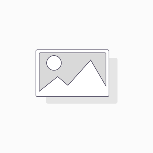Odoo SI lokalization